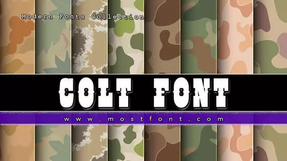 「COLT-FONT」字体排版样式