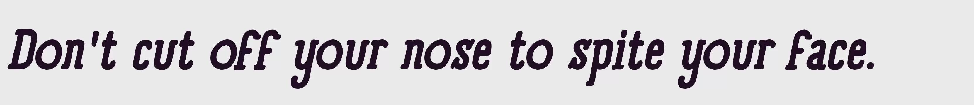 「panforte_serif_bold_italic」字体效果图