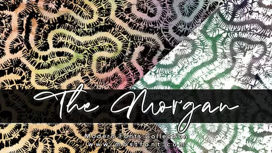 Typographic Design of The-Morgan