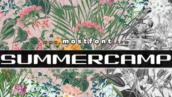 「SUMMERCAMP」字体排版图片