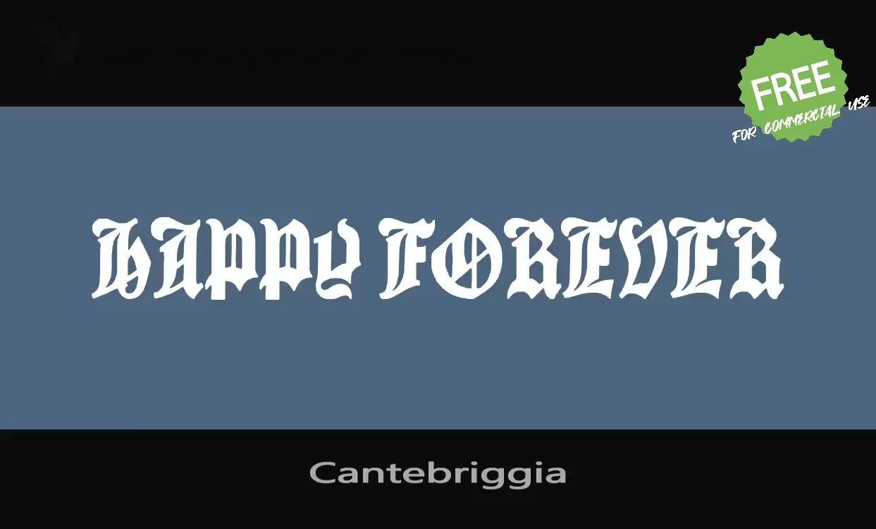 「Cantebriggia」字体效果图