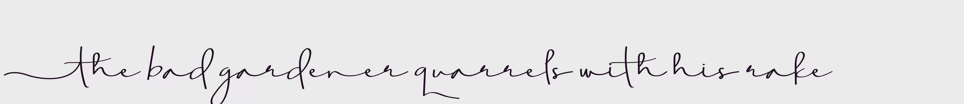 Preview Of AghnestademoSignature