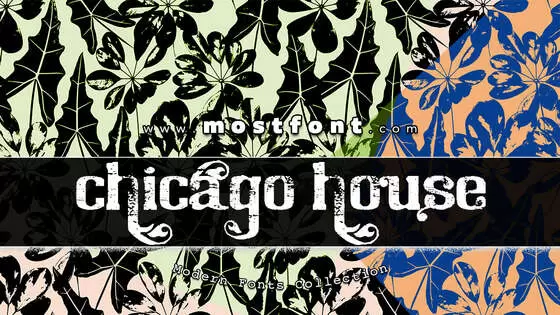 「Chicago-House-Trial」字体排版样式