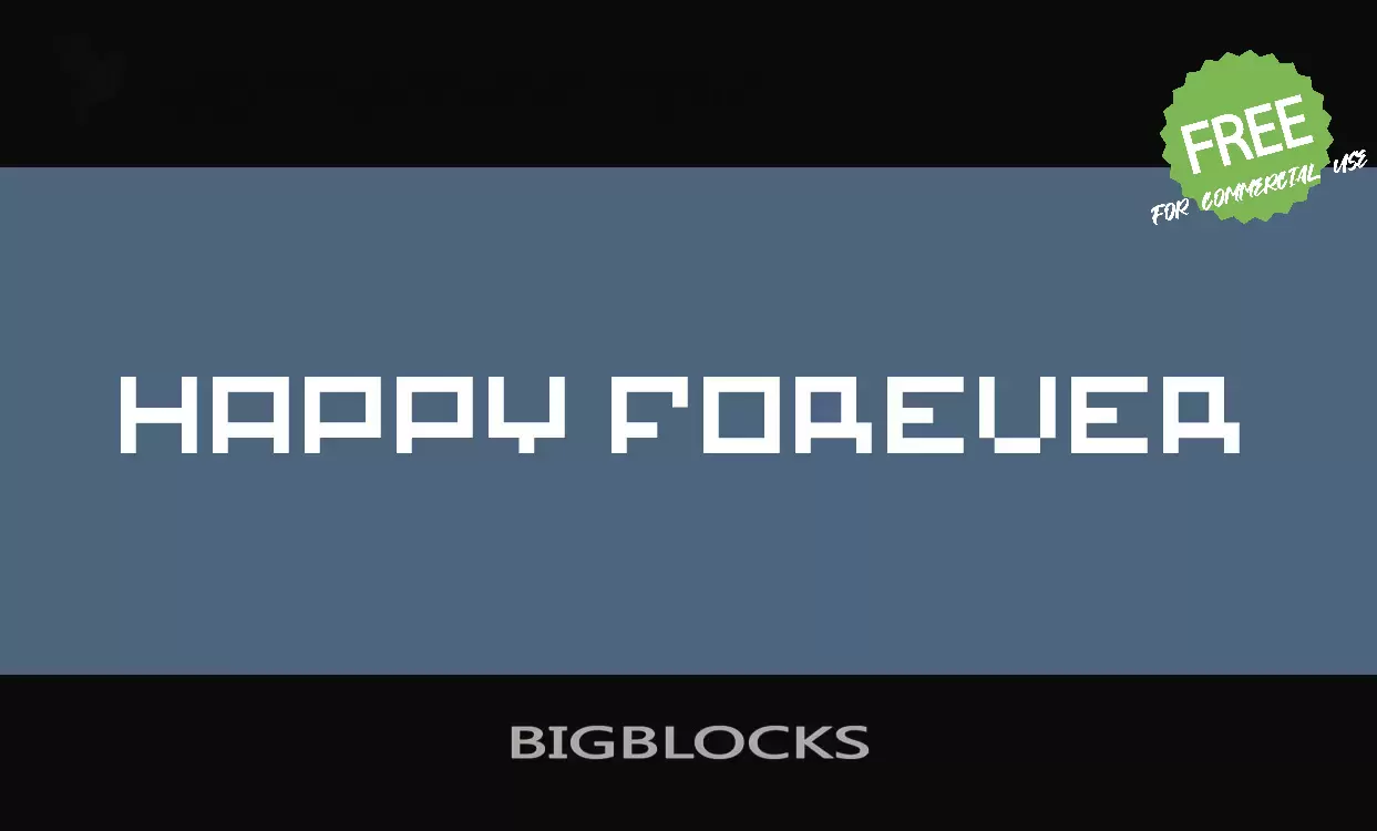 「BIGBLOCKS」字体效果图
