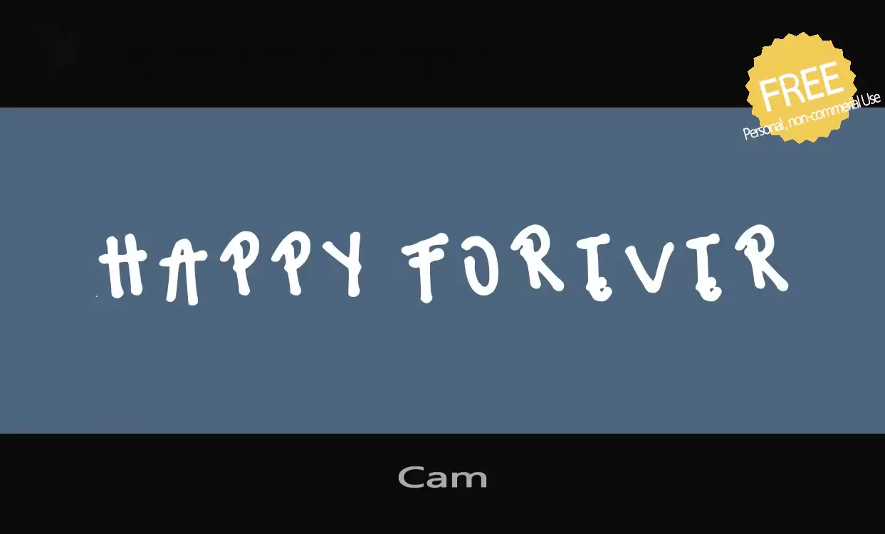「Cam」字体效果图