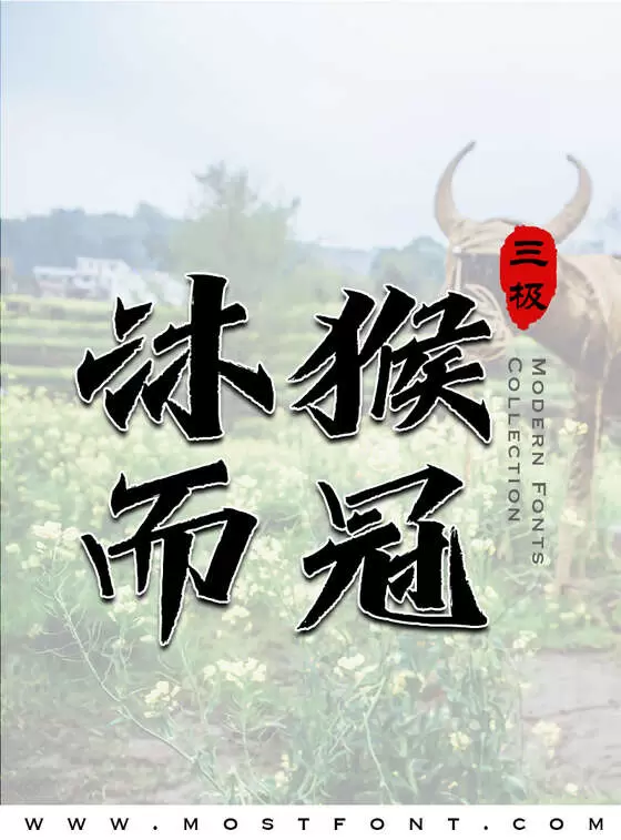 Typographic Design of 三极利锋体