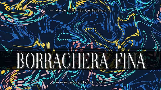Typographic Design of Borrachera-Fina