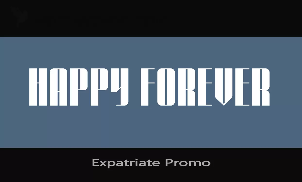「Expatriate-Promo」字体效果图