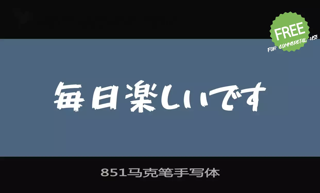 「851马克笔手写体」字体效果图