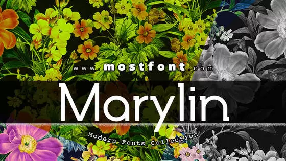 「Marylin」字体排版图片
