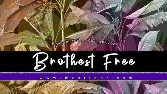 Typographic Design of Brothest-Free