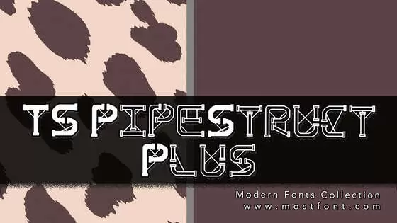 「TS-PipeStruct-Plus」字体排版样式