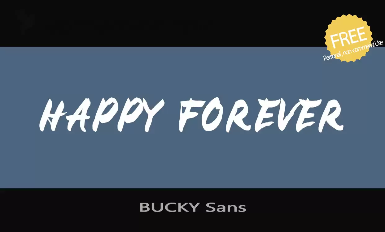 「BUCKY-Sans」字体效果图