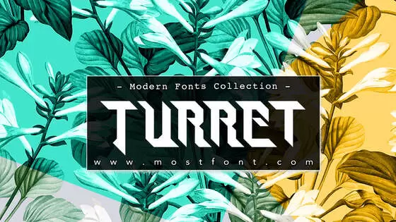 Typographic Design of Turret