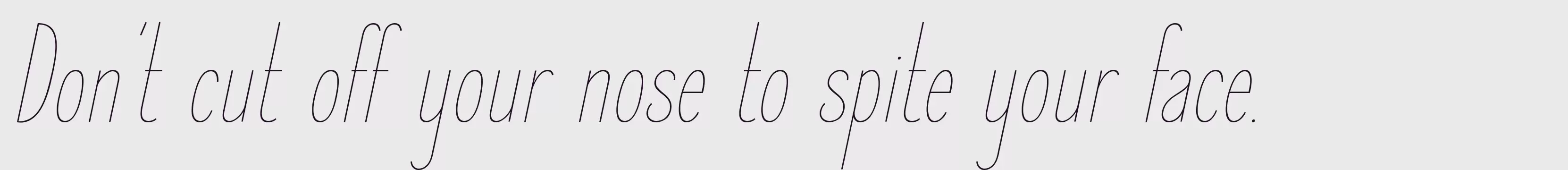 「Elegant Sans Thin Italic」字体效果图