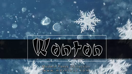 「Wonton」字体排版图片