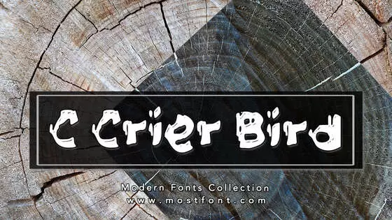 「C-Crier-Bird」字体排版图片