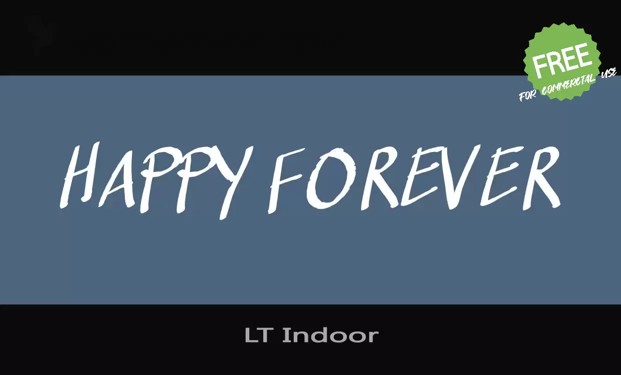 「LT-Indoor」字体效果图