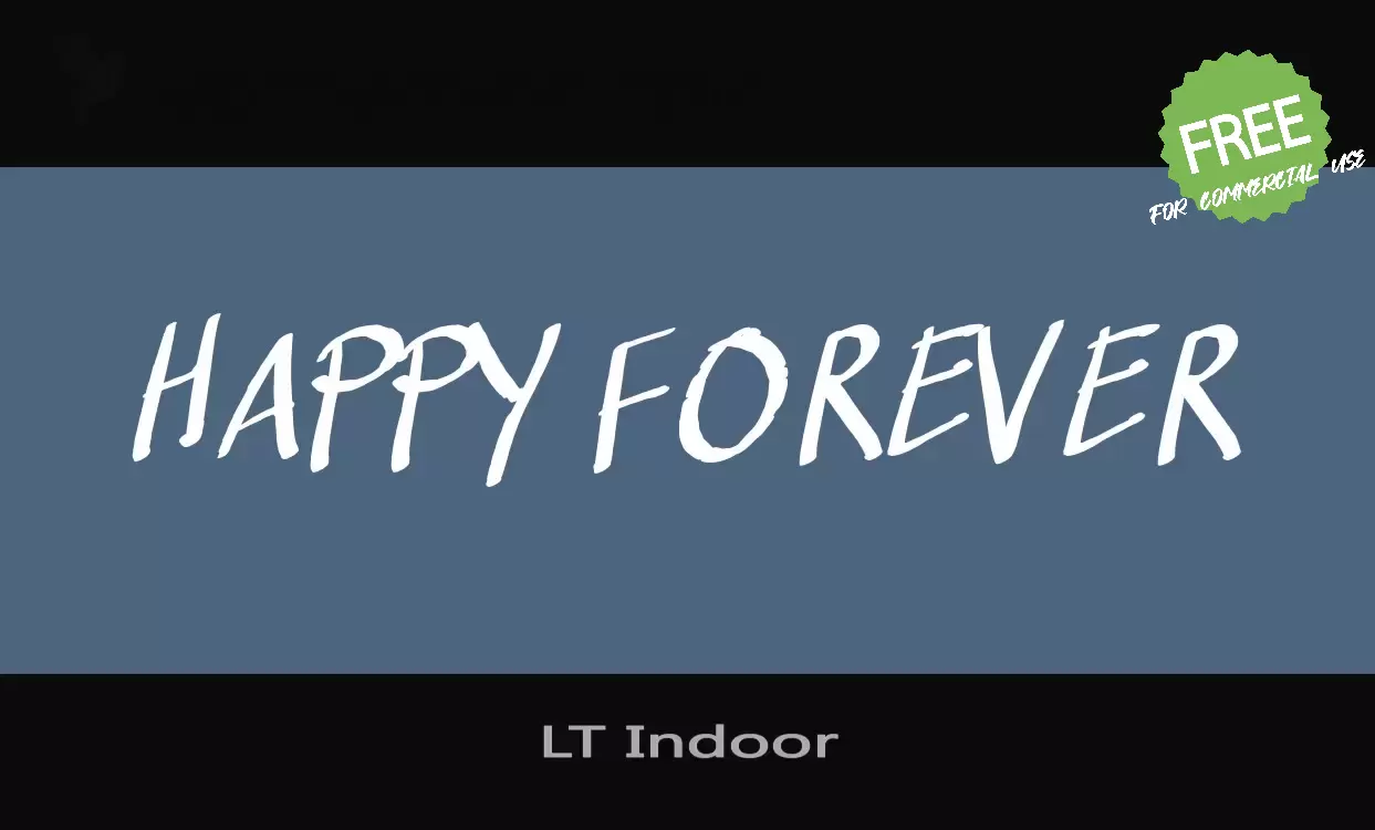 「LT Indoor」字体效果图