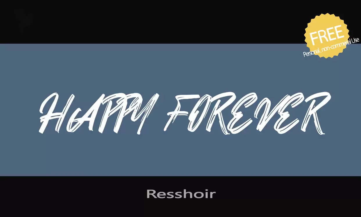 「Resshoir」字体效果图