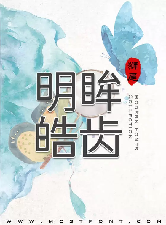Typographic Design of 狮尾德鲁纳黑体