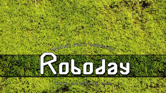 Typographic Design of Roboday