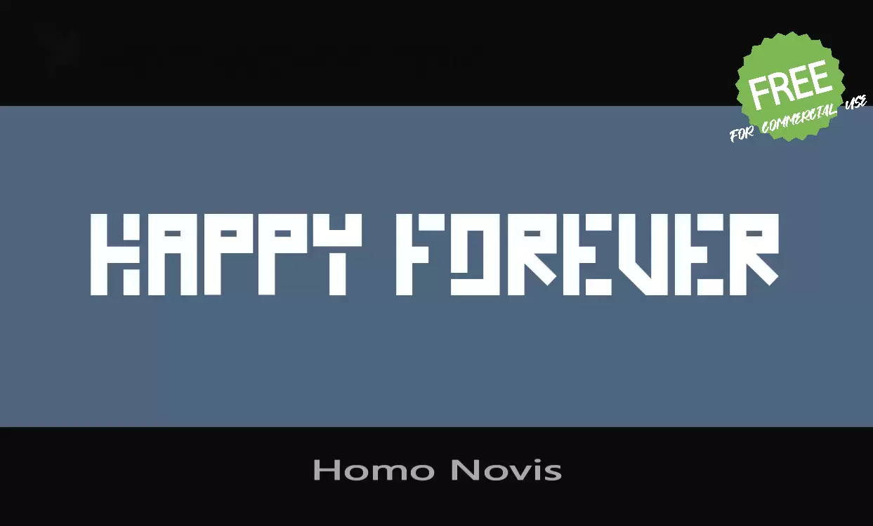 「Homo-Novis」字体效果图