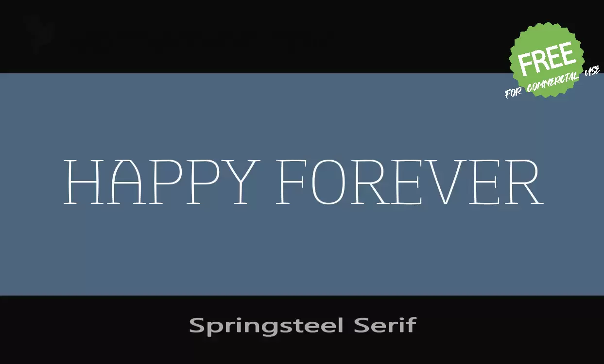 Sample of Springsteel-Serif