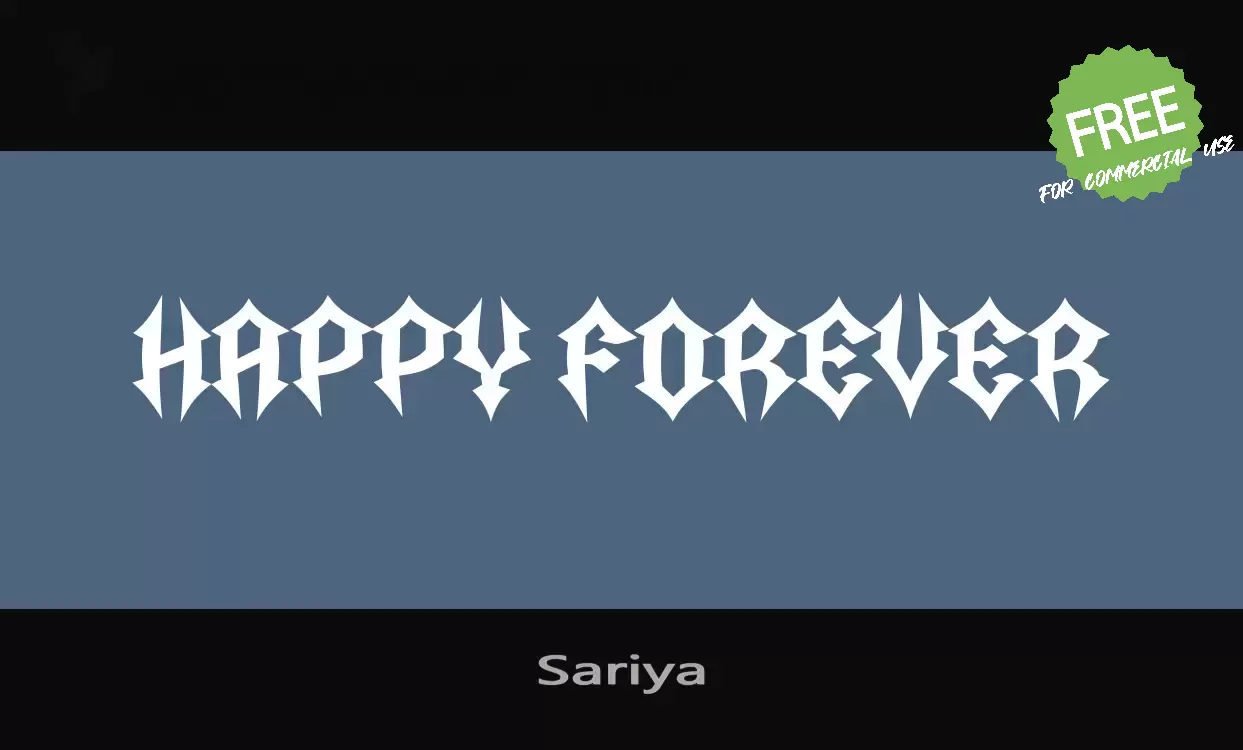 「Sariya」字体效果图