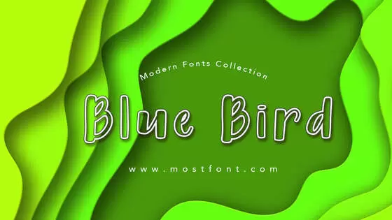 Typographic Design of Blue-Bird
