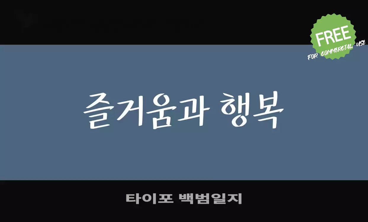 Font Sample of 타이포-백범일지