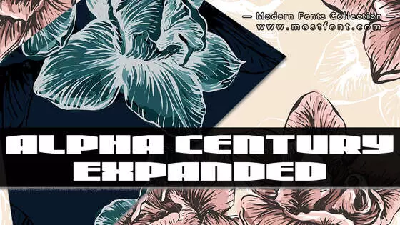 Typographic Design of Alpha-Century-Expanded