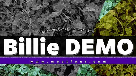 「Billie-DEMO」字体排版样式