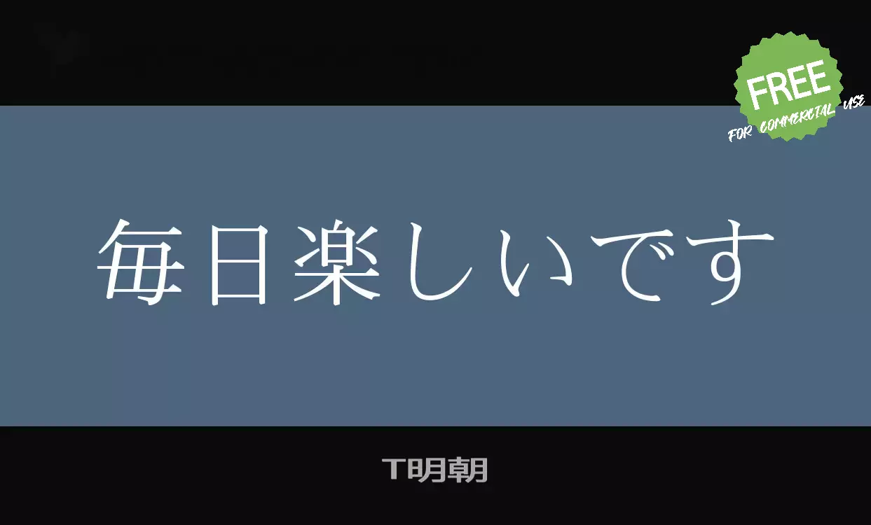 「T明朝」字体效果图