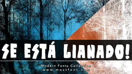 Typographic Design of Se-Está-Lianado!