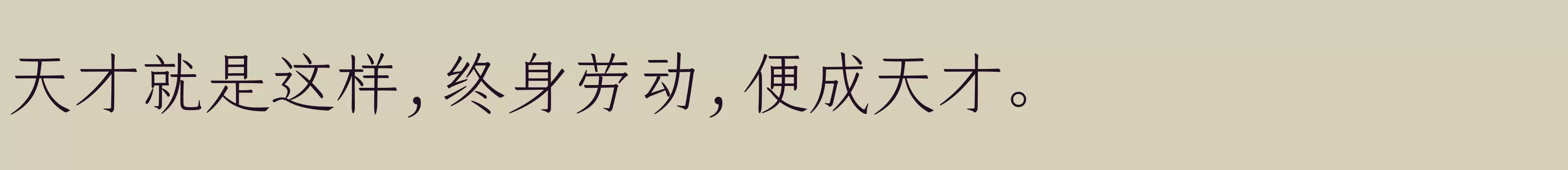Preview Of 仓耳明楷 W02