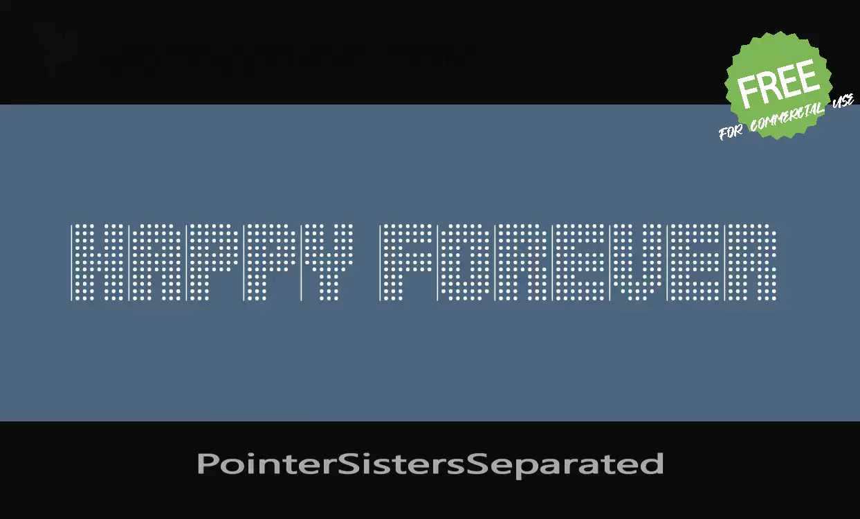 「PointerSistersSeparated」字体效果图