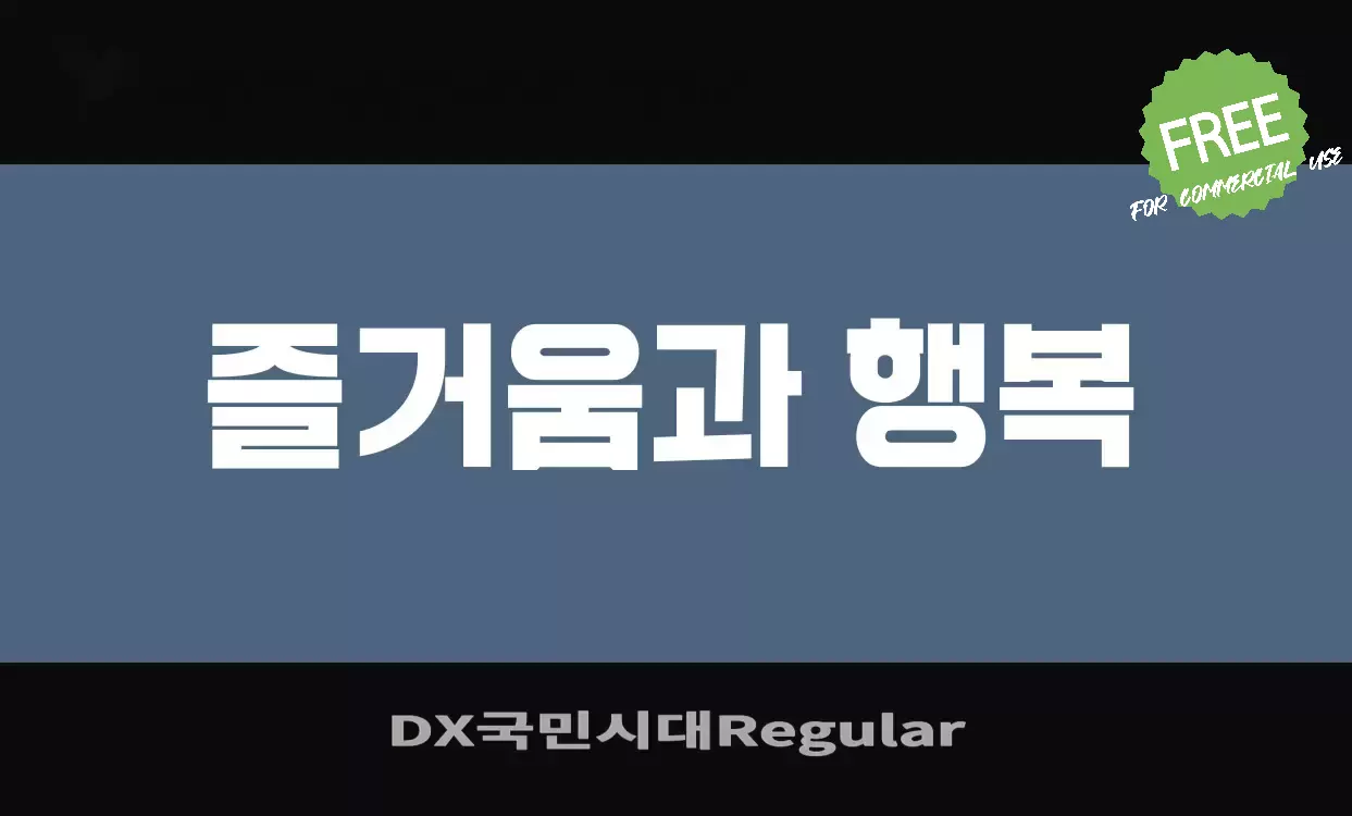 「DX국민시대Regular」字体效果图