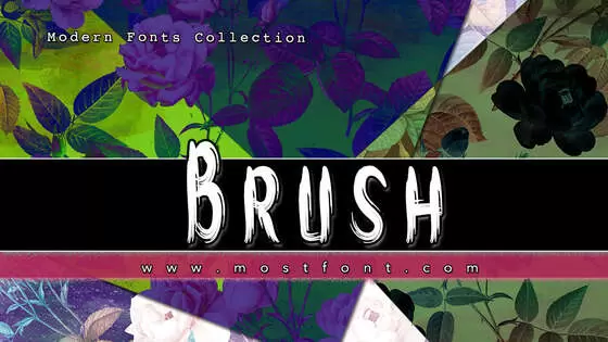 Typographic Design of Brush