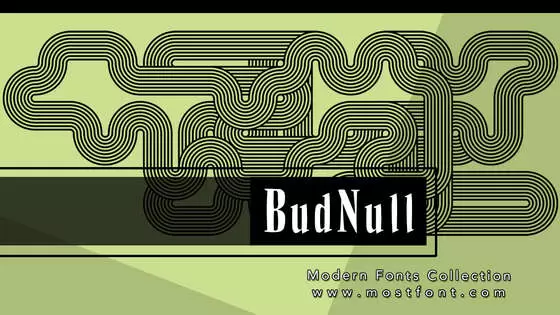 Typographic Design of BudNull