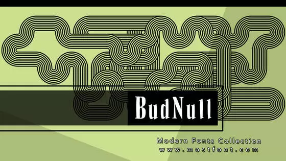 「BudNull」字体排版图片
