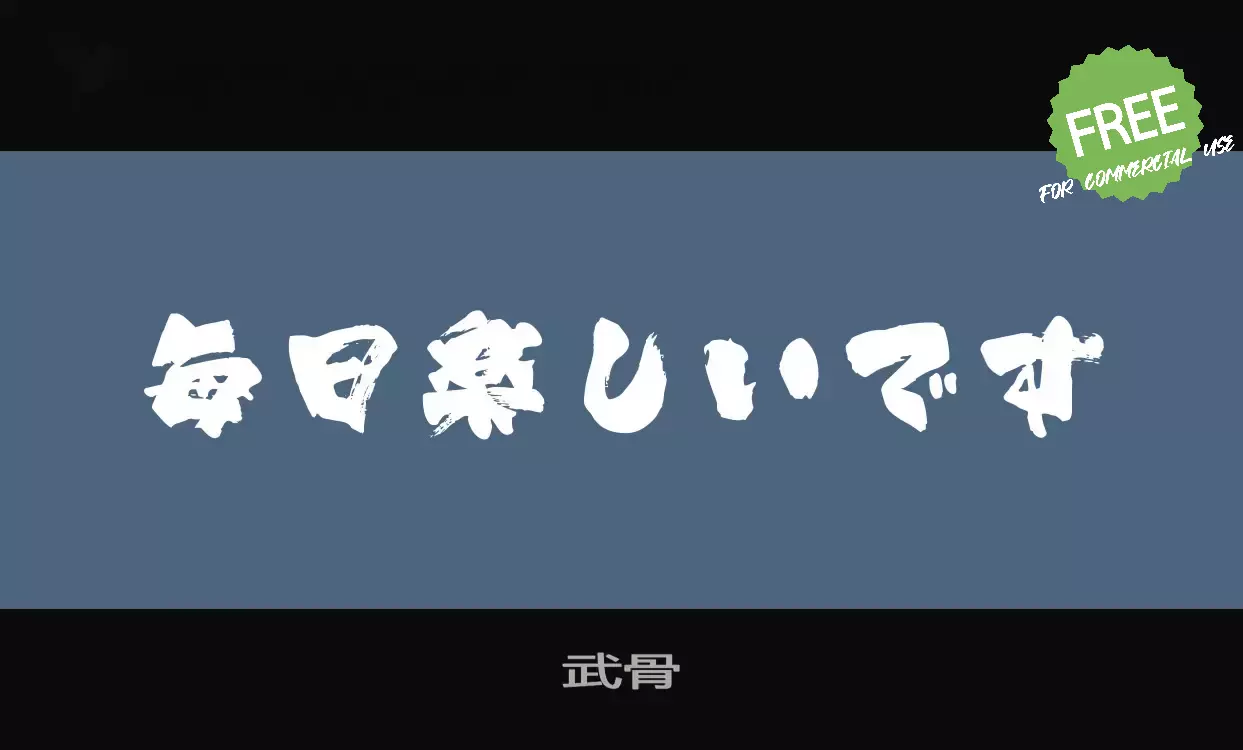 Font Sample of 武骨