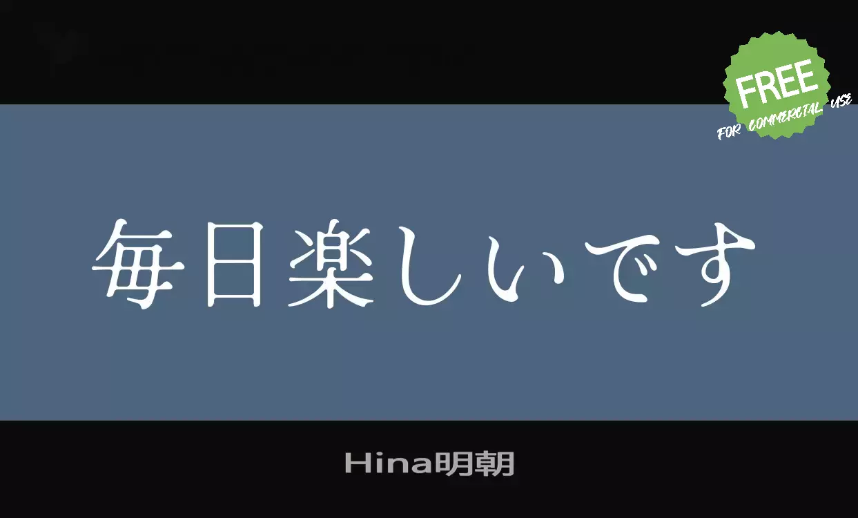 「Hina明朝」字体效果图