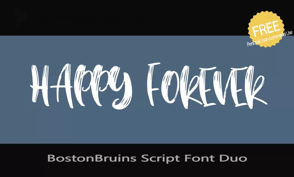 「BostonBruins-Script-Font-Duo」字体效果图