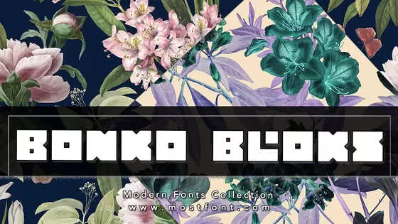 Typographic Design of Bonko-Bloks