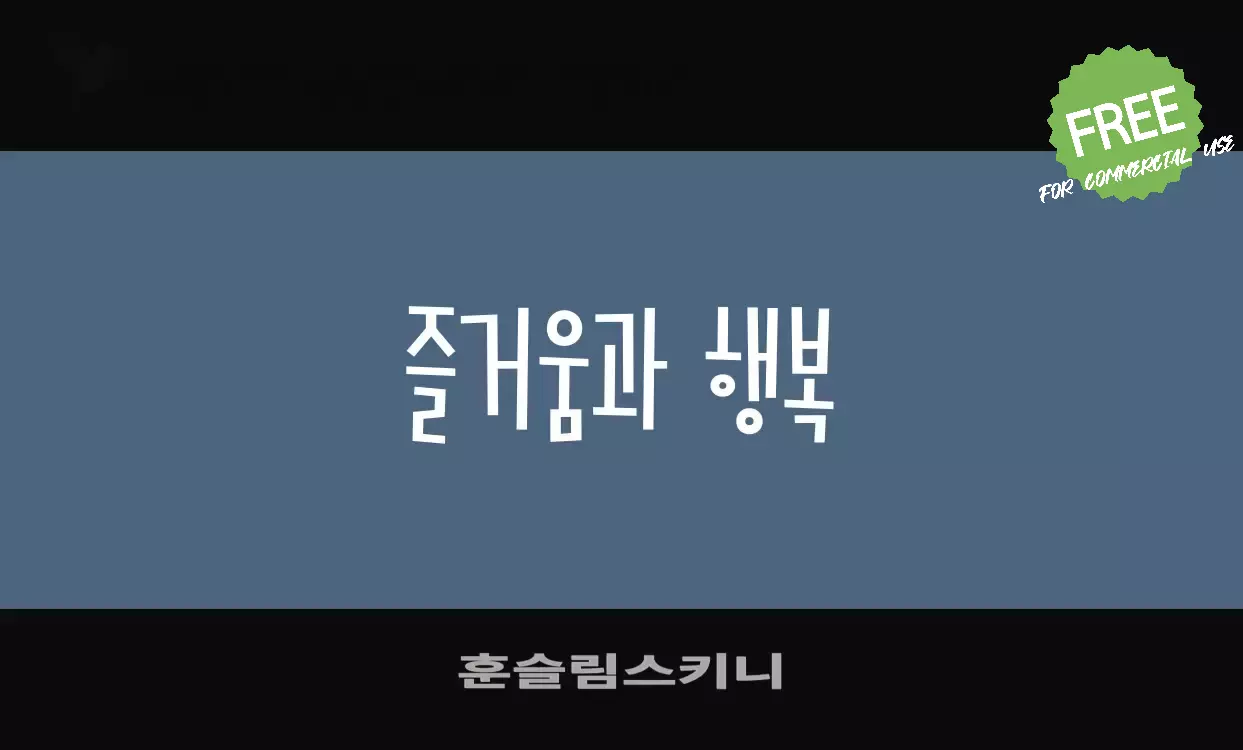 「훈슬림스키니」字体效果图