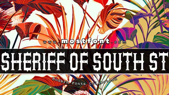 Typographic Design of Sheriff-Of-South-St