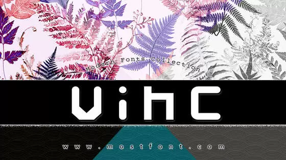 「Vinc」字体排版样式