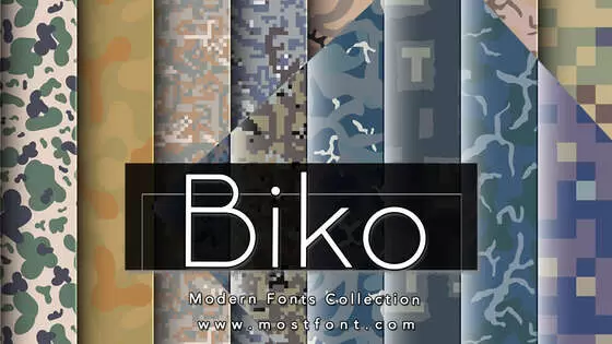 Typographic Design of Biko