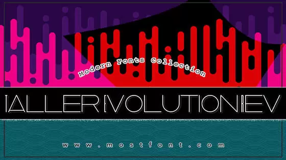 Typographic Design of Taller--Evolution-Rev